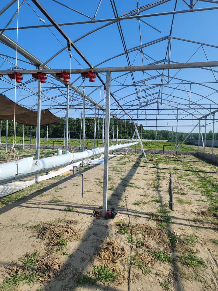 [ Photo ] راه اندازی گلخانه شمال و کشت هیدرو پونیک توت فرنگی بصورت اتوماتیک جهت بالا بردن از کف زمین تا بالای سقف توسط تیم متخصص شرکت تلاونگ اردبیل